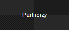 Partnerzy