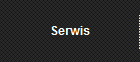 Serwis