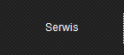 Serwis